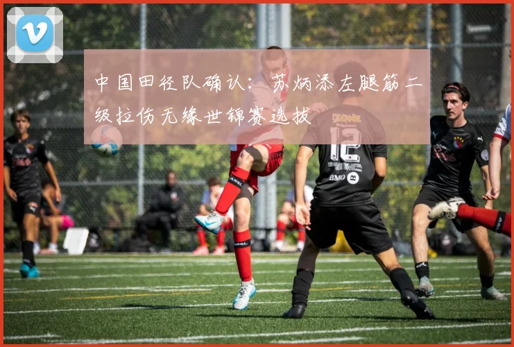 中国田径队确认：苏炳添左腿筋二级拉伤无缘世锦赛选拔