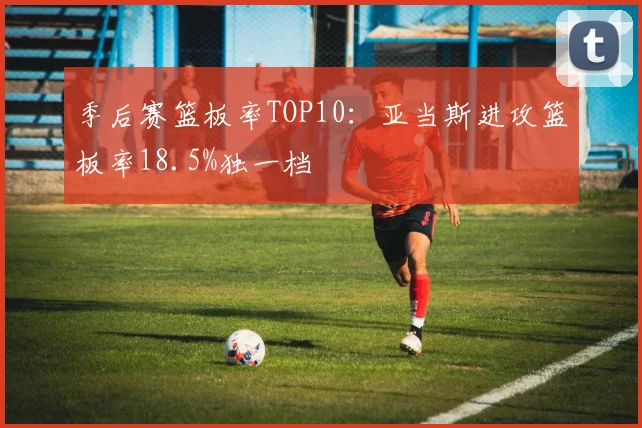 季后赛篮板率TOP10：亚当斯进攻篮板率18.5%独一档